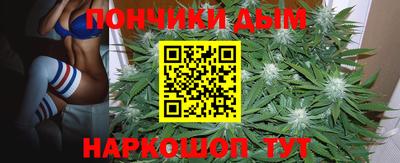 a pvp Свободный