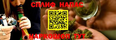 трава Сланцы