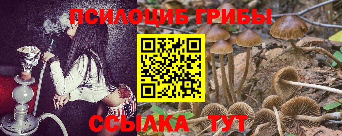 Псилоцибиновые грибы GOLDEN TEACHER Полевской