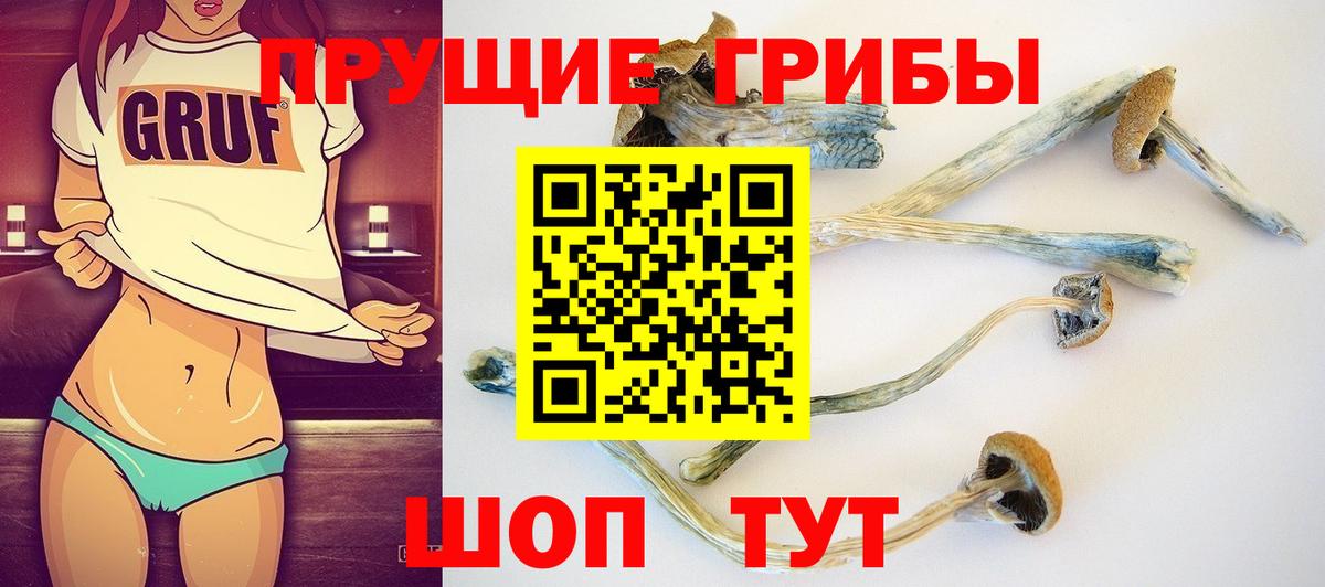 Полевской  Псилоцибиновые грибы Magic Shrooms  Вход с VPN 