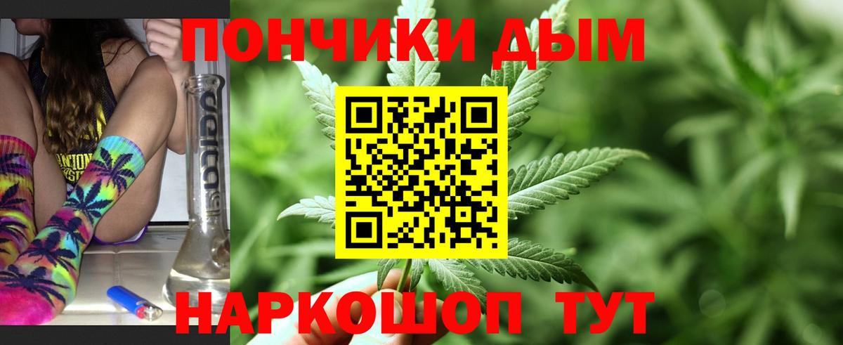 Каннабис сатива Полевской